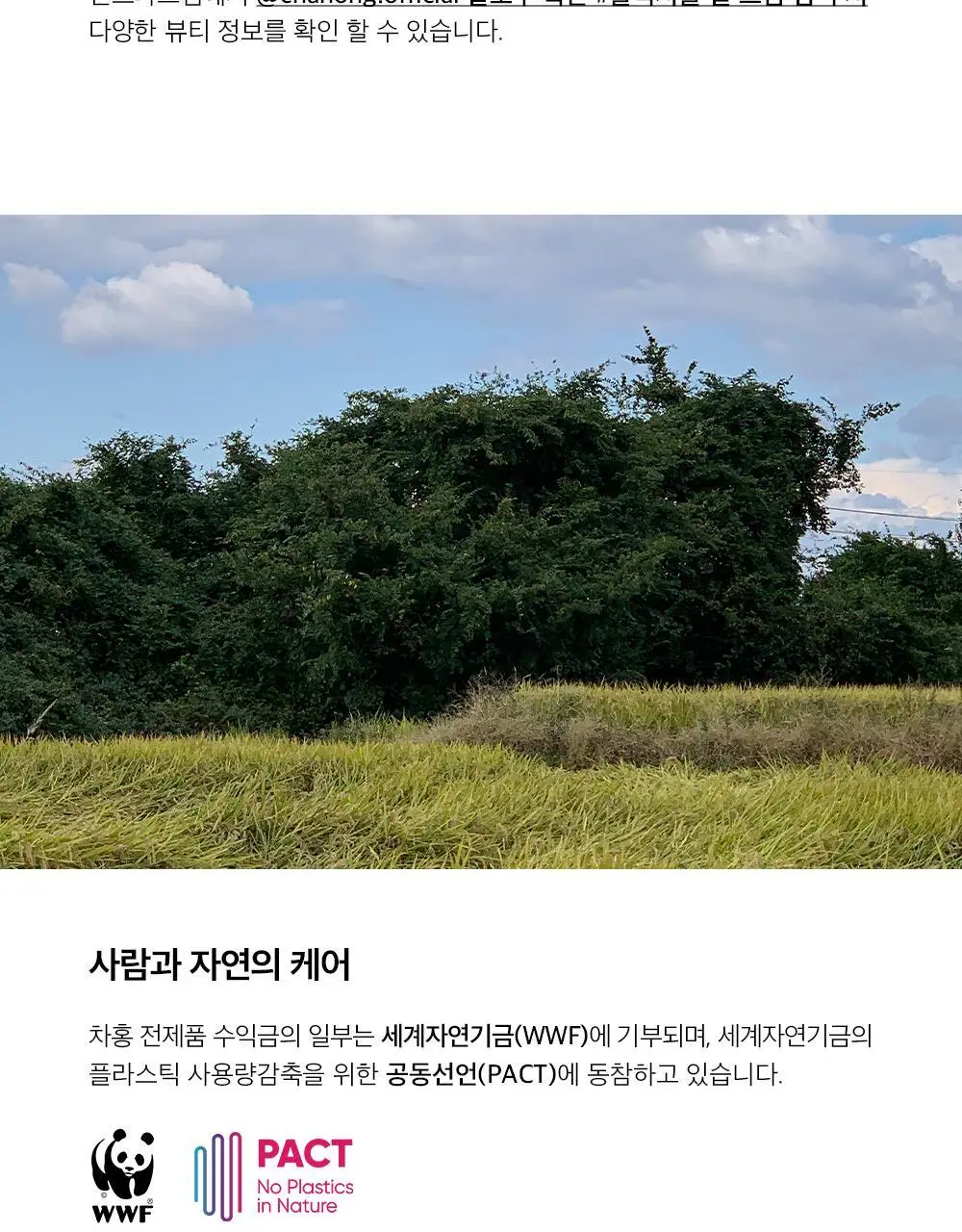 [윤기.컬 탄력 케어] 차홍 플렉시블 컬 크림 2종 택1 상세페이지 12
